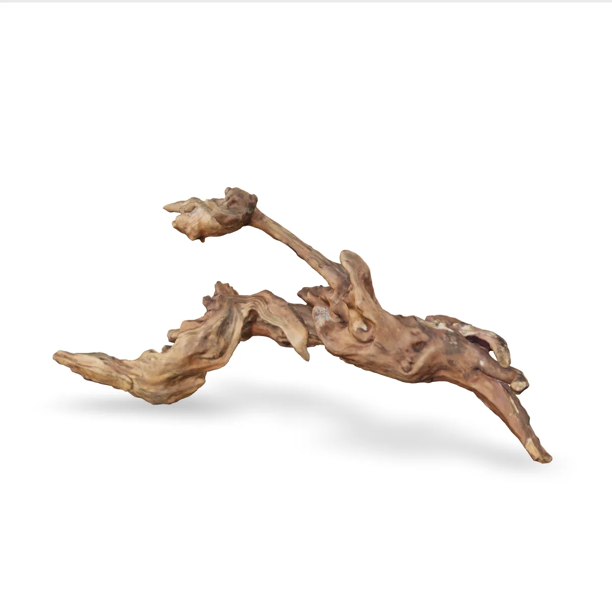 Flusswurzel 3D Nr. 1302 (46x22x13cm)