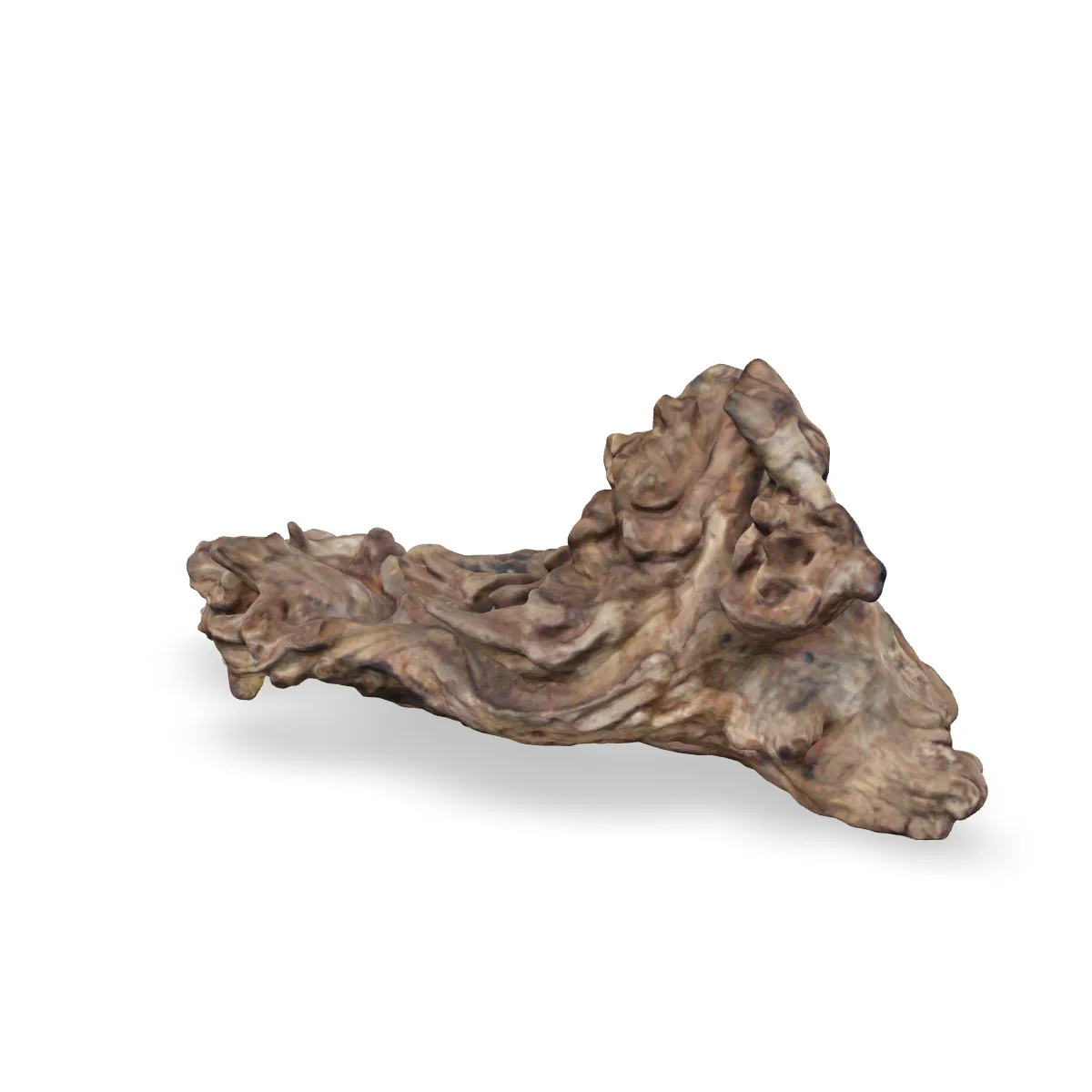 Flusswurzel 3D Nr. 1304 (29x15x11cm)