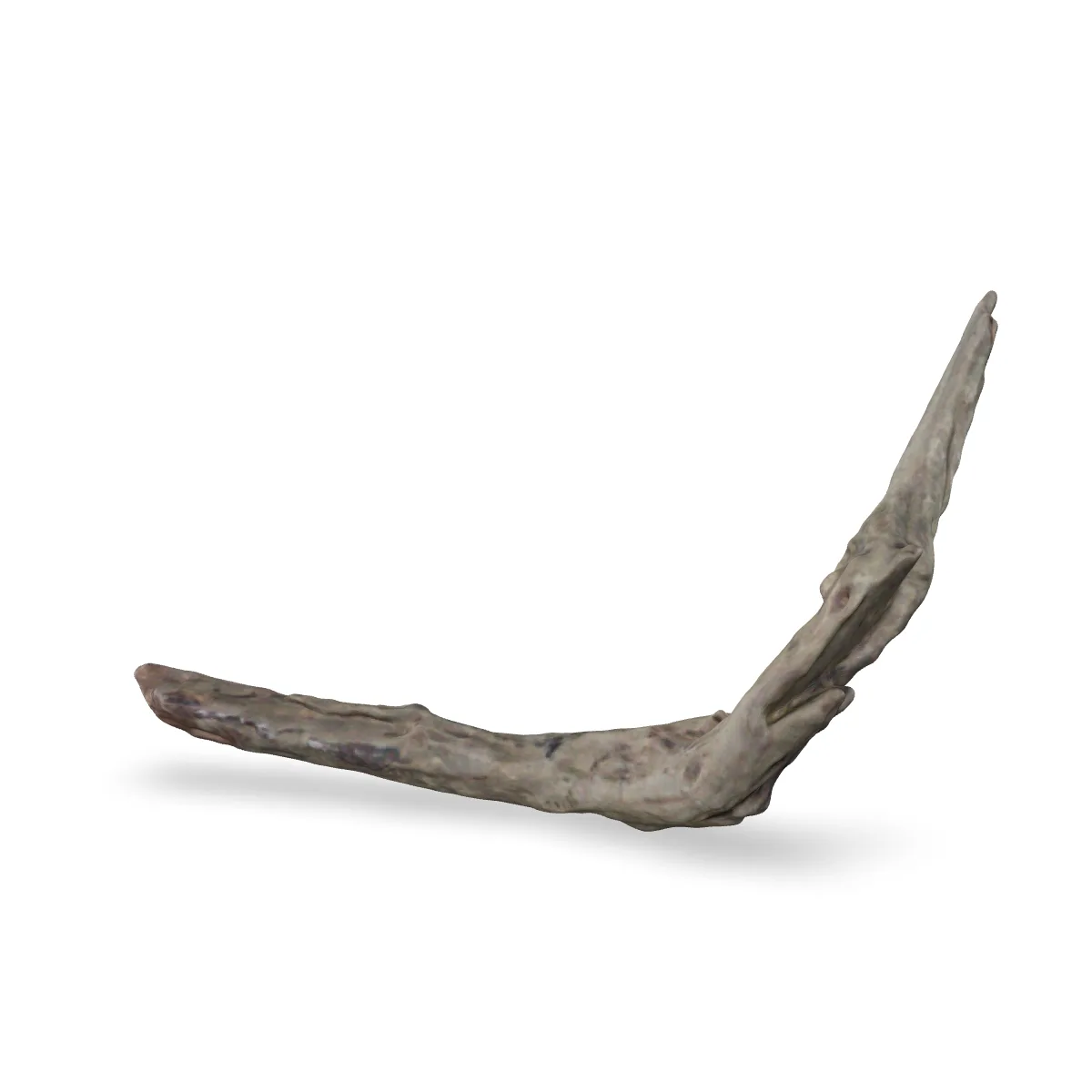 Flusswurzel 3D Nr. 1355 (31x13x7cm)