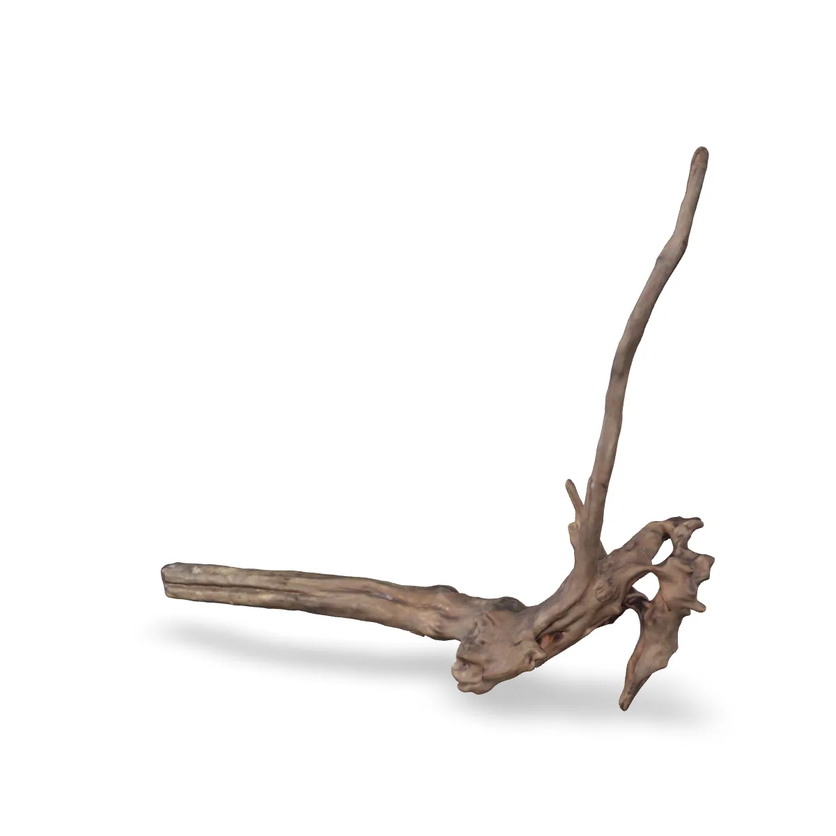 Flusswurzel 3D Nr. 1384 (40x22x7cm)