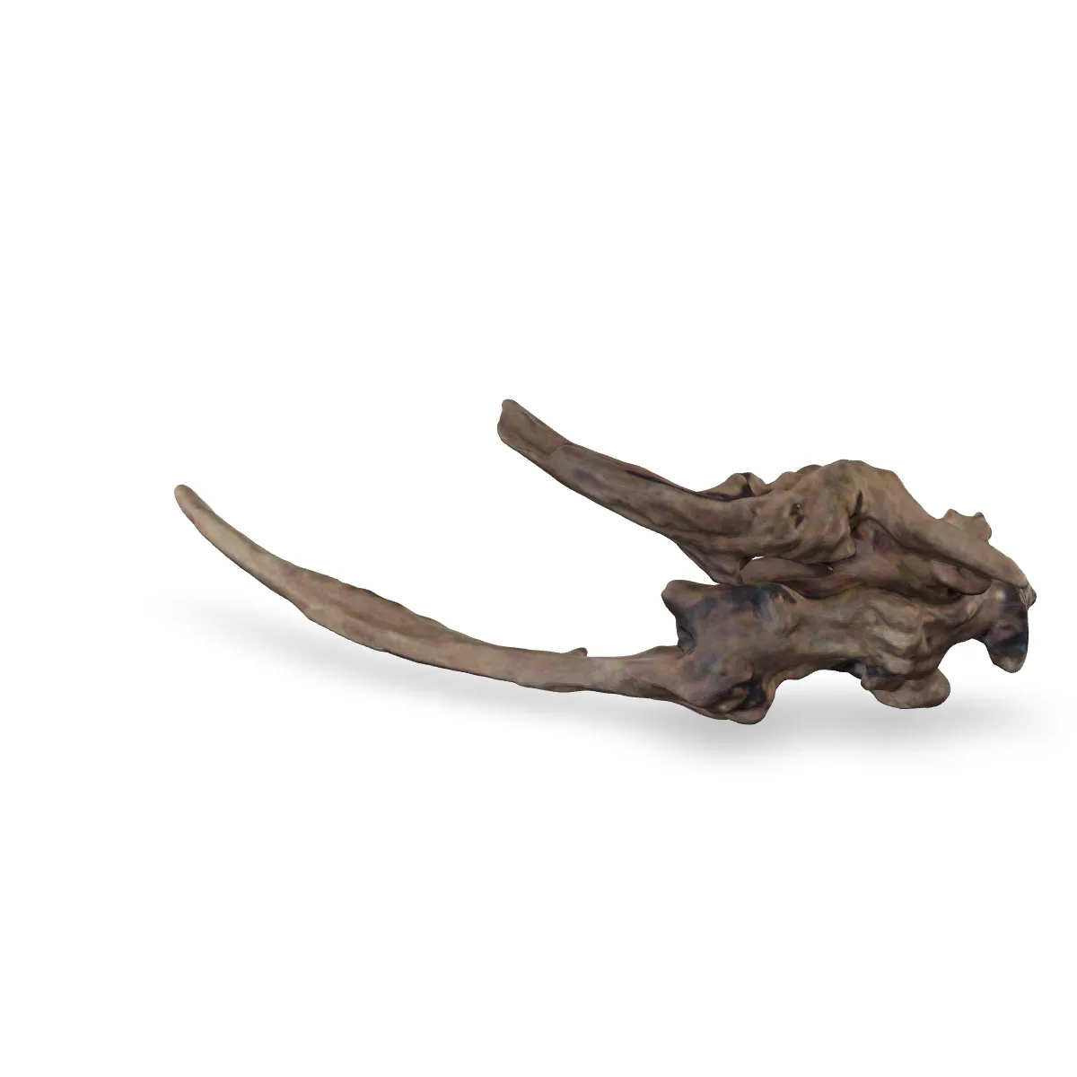 Flusswurzel 3D Nr. 1401 (28x10x8cm)