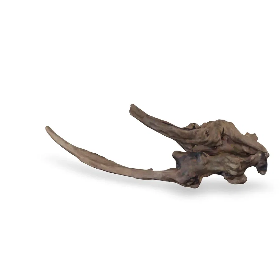 Flusswurzel 3D Nr. 1401 (28x10x8cm)