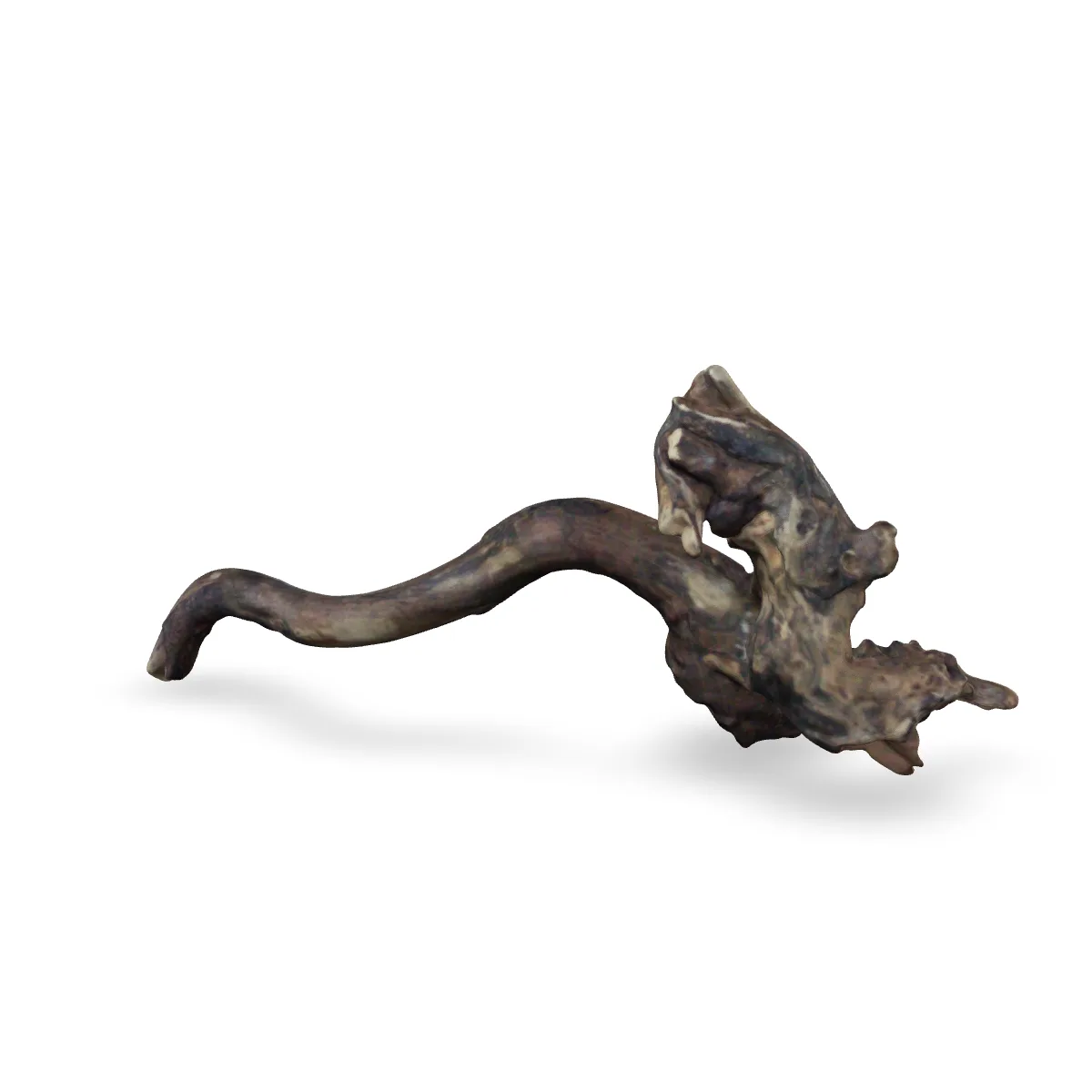 Flusswurzel 3D Nr. 1402 (29x14x7cm)