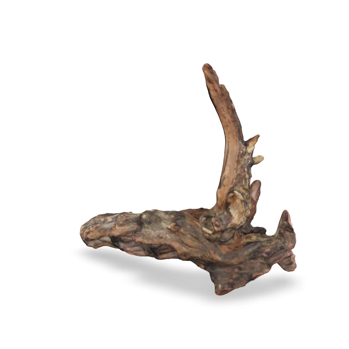Flusswurzel 3D Nr. 339 (25x9x23cm)