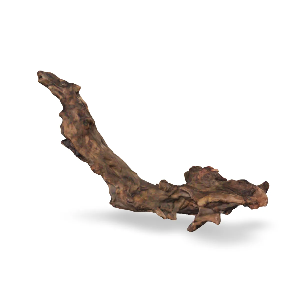 Flusswurzel 3D Nr. 359 (33x10x21cm)