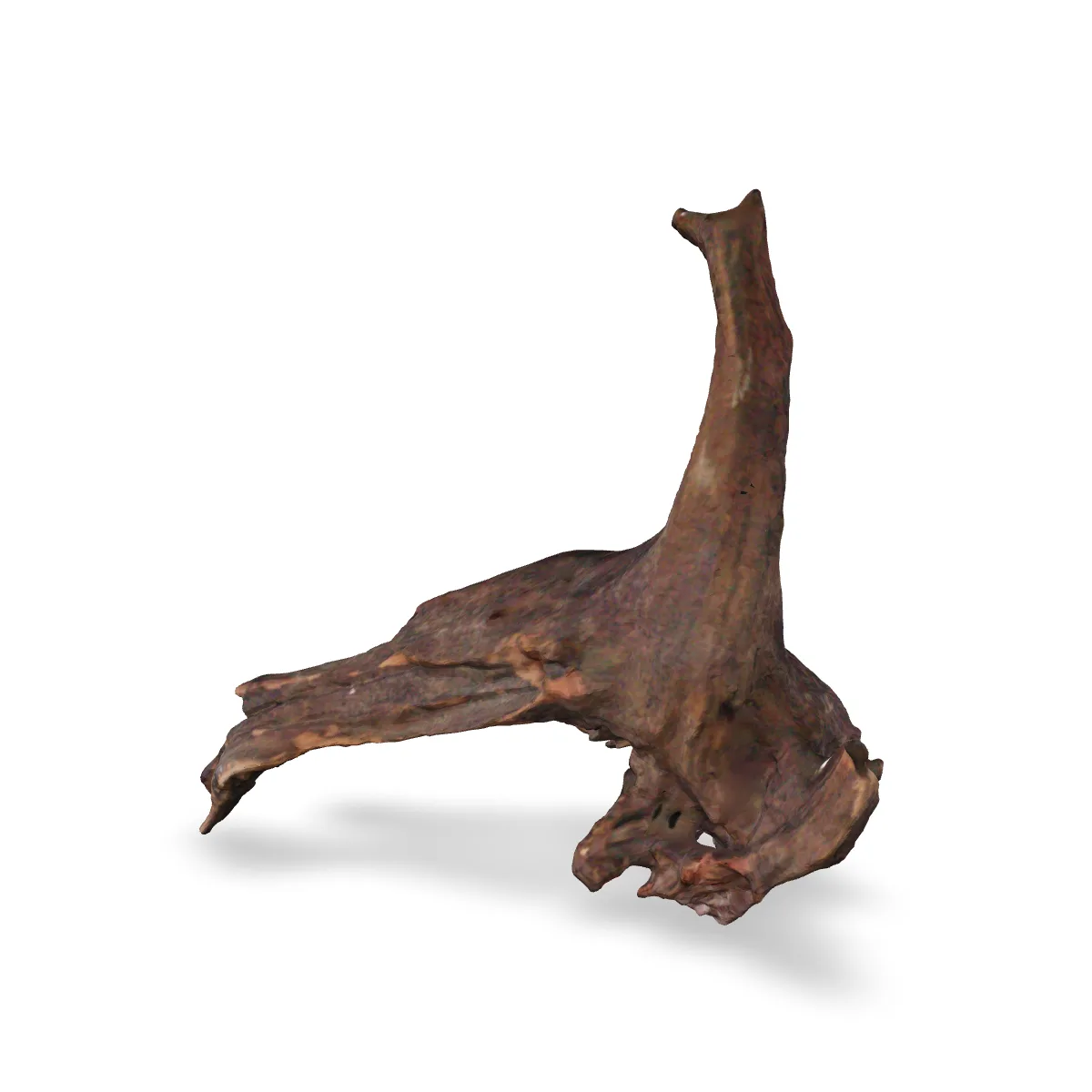 Flusswurzel 3D Nr. 367 (29x13x27cm)