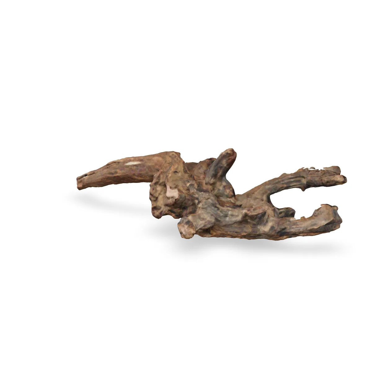Flusswurzel 3D Nr. 409 (31x13x9cm)