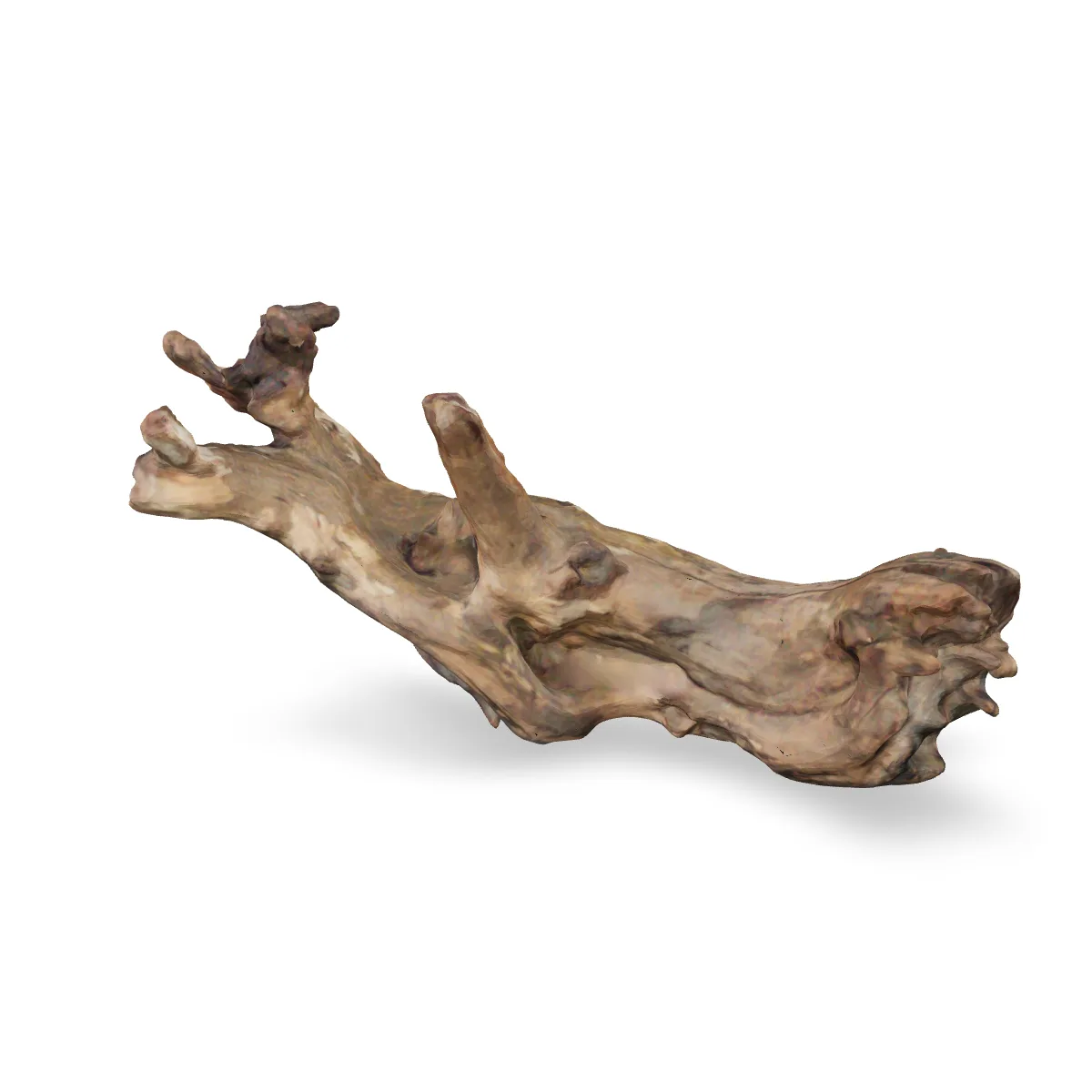 Flusswurzel 3D Nr. 460 (30x12x14cm)