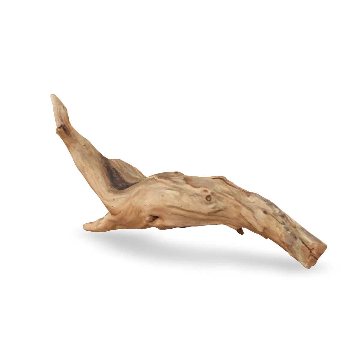 Flusswurzel 3D Nr. 501 (31x8x16cm)