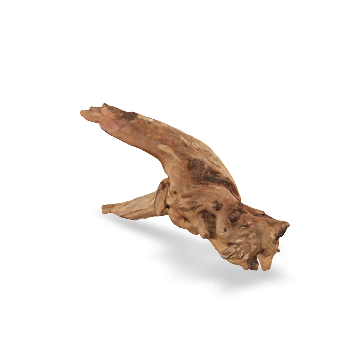 Flusswurzel 3D Nr. 502 (30x19x20cm)