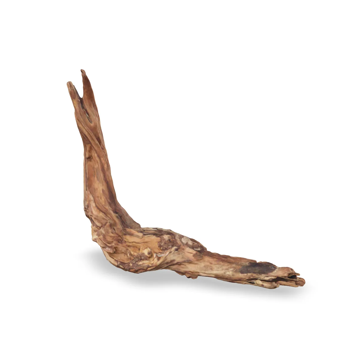 Flusswurzel 3D Nr. 539 (40x11x33cm)
