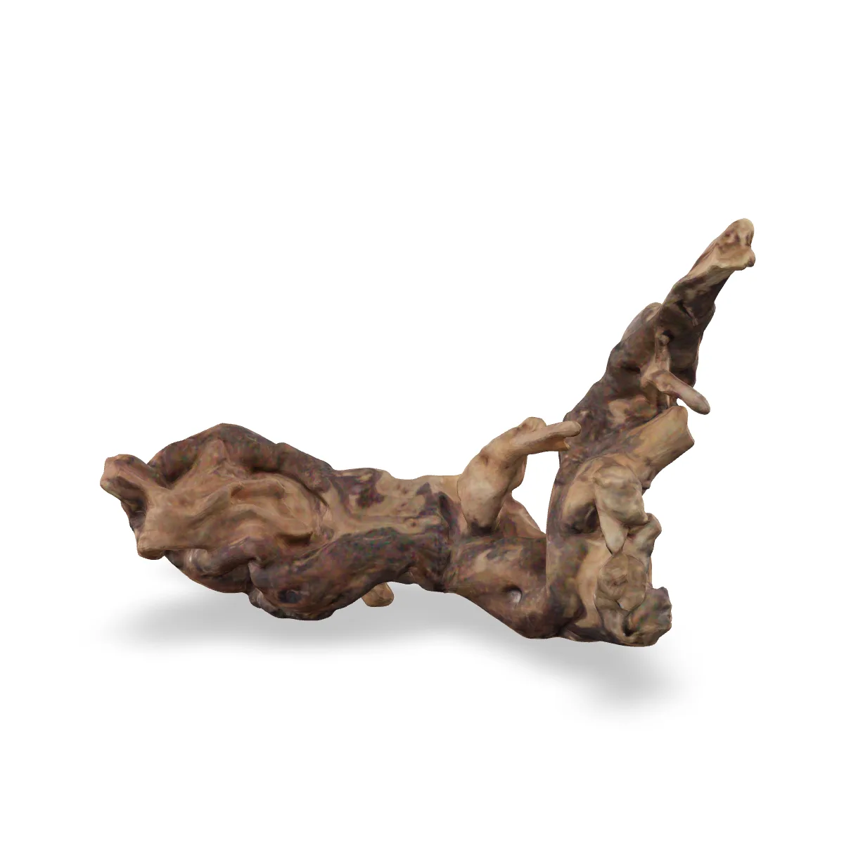Flusswurzel 3D Nr. 563 (25x11x18cm)