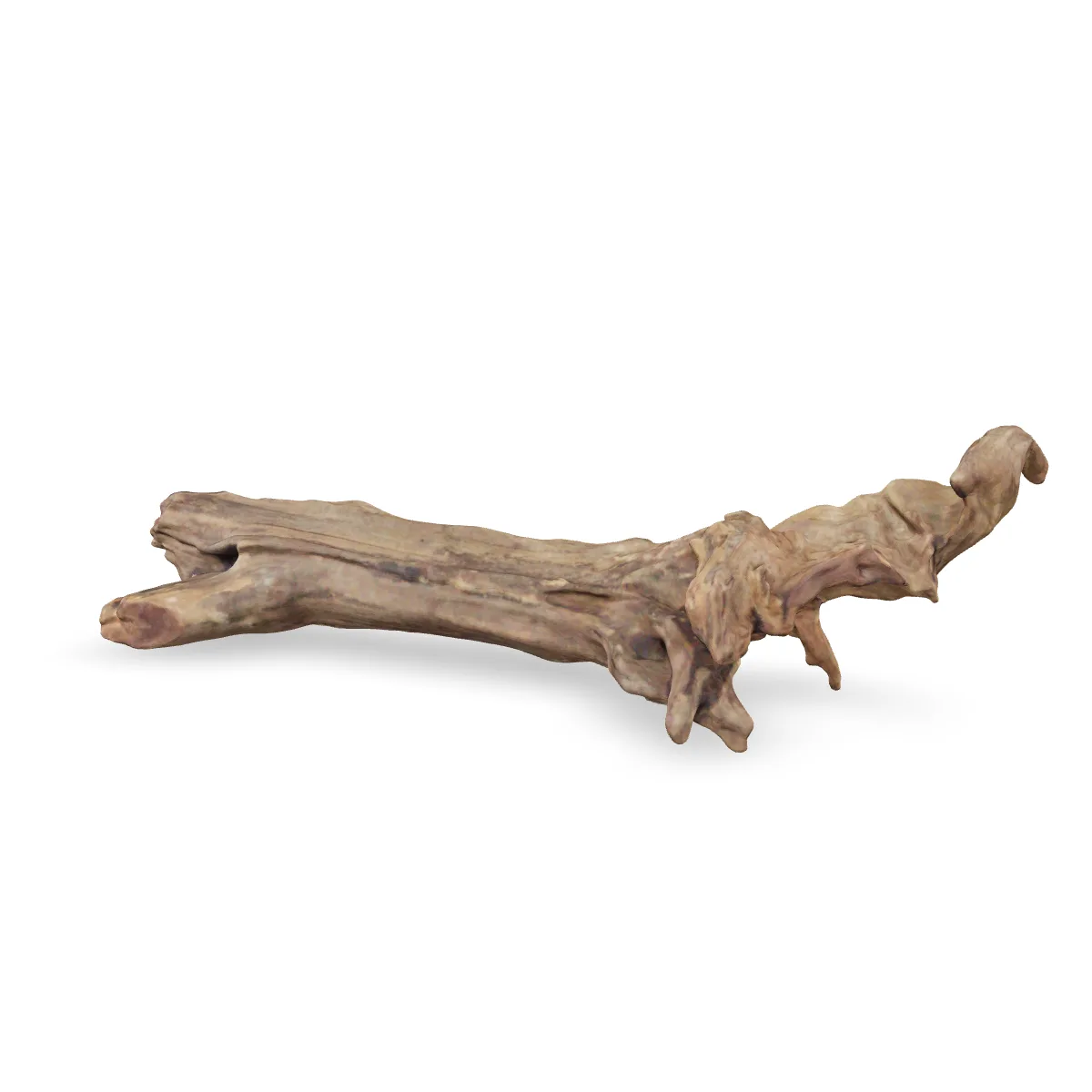 Flusswurzel 3D Nr. 567 (36x13x11cm)