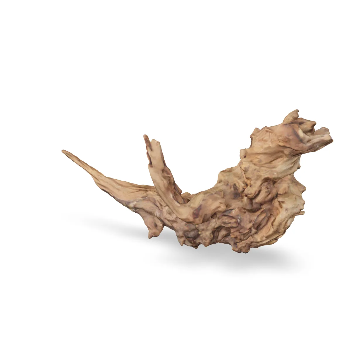Flusswurzel 3D Nr. 581 (39x11x20cm)