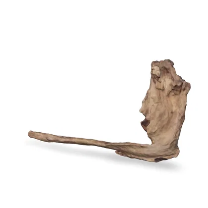 Flusswurzel 3D Nr. 586 (29x7x17cm)