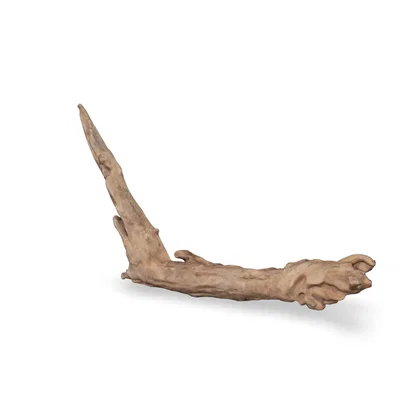Flusswurzel 3D Nr. 591 (30x9x17cm)