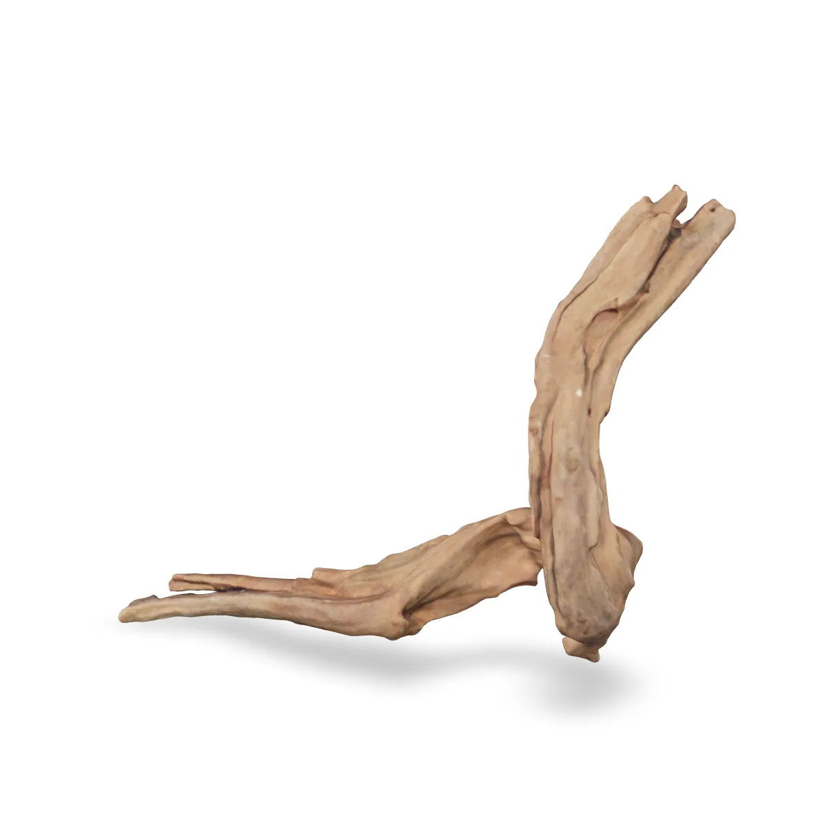 Flusswurzel 3D Nr. 604 (27x13x22cm)