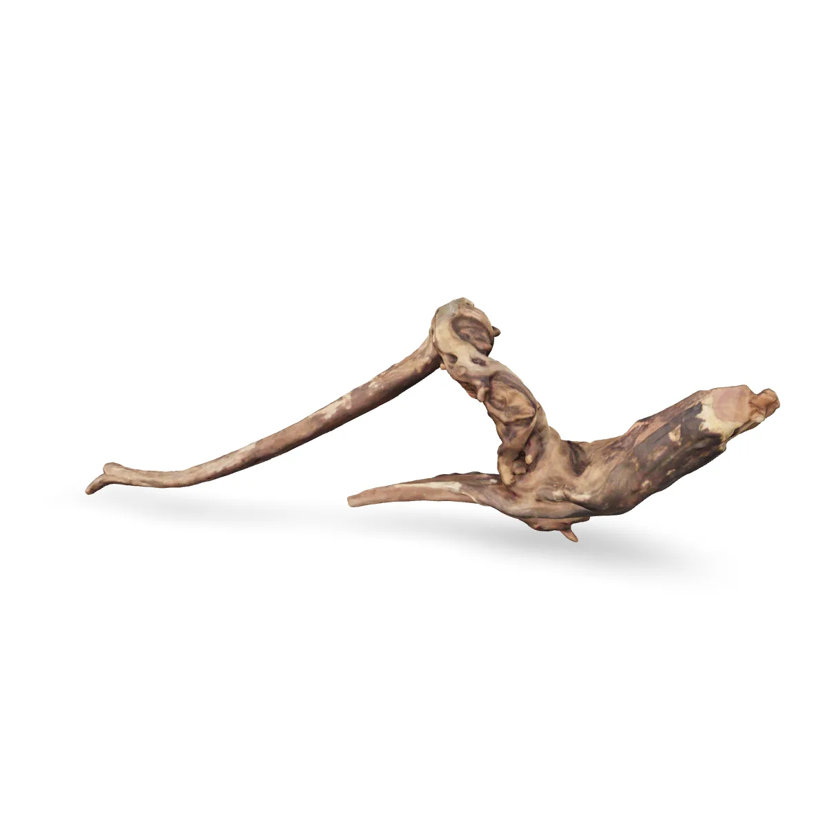 Flusswurzel 3D Nr. 621 (45x8x15cm)