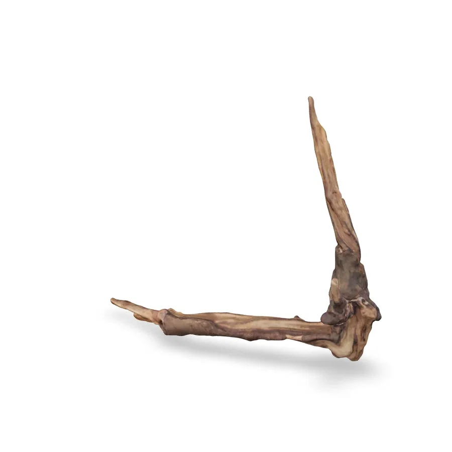 Flusswurzel 3D Nr. 631 (30x10x26cm)