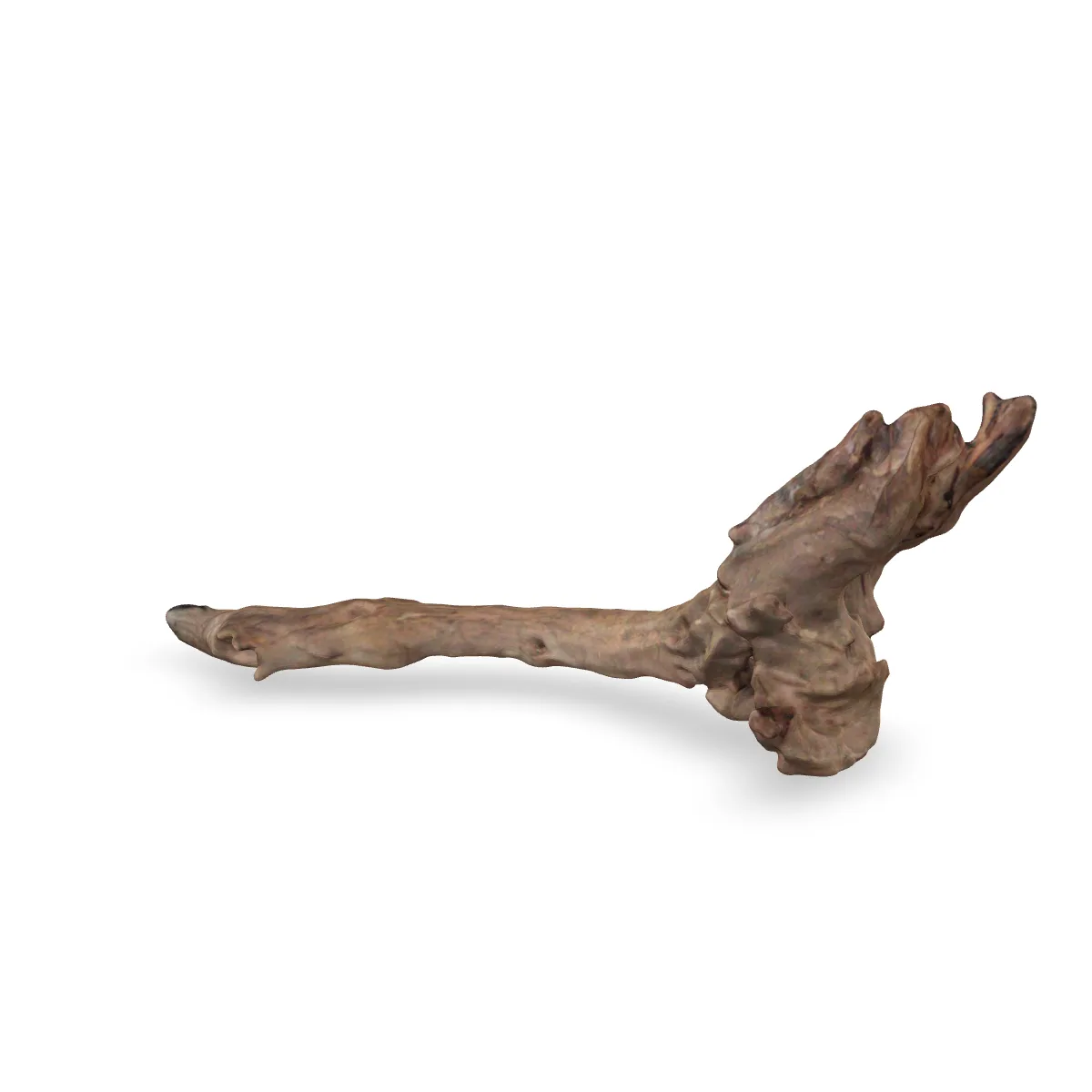 Flusswurzel 3D Nr. 816 (41x14x11cm)