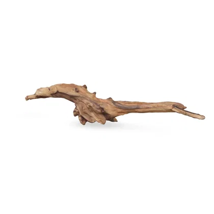 Flusswurzel 3D Nr. 823 (37x10x6cm)