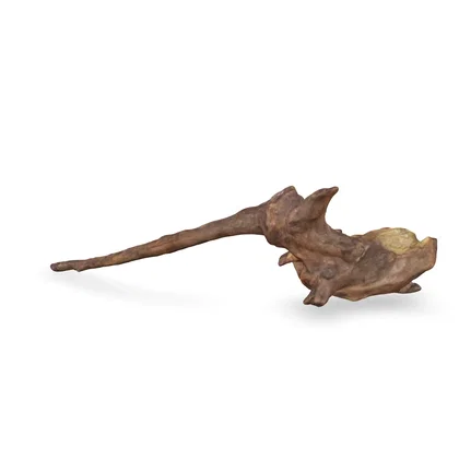 Flusswurzel 3D Nr. 832 (33x14x7cm)