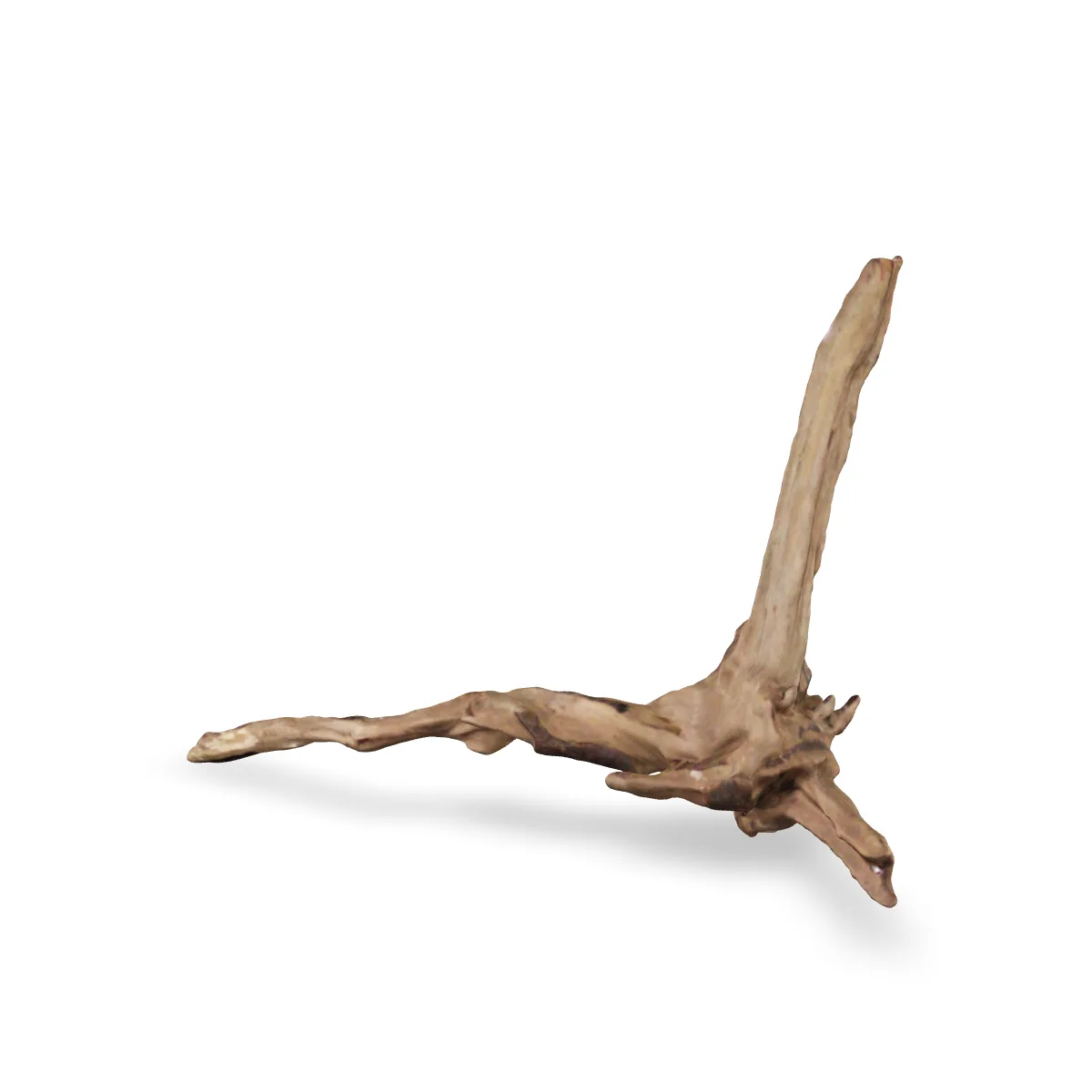 Flusswurzel 3D Nr. 834 (35x19x11cm)