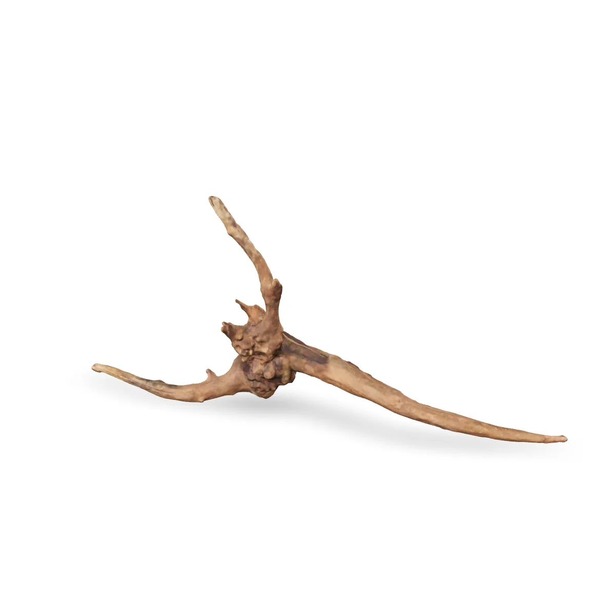 Flusswurzel 3D Nr. 836 (46x26x13cm)