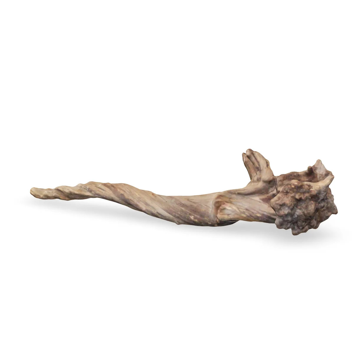 Flusswurzel 3D Nr. 871 (37x11x9cm)