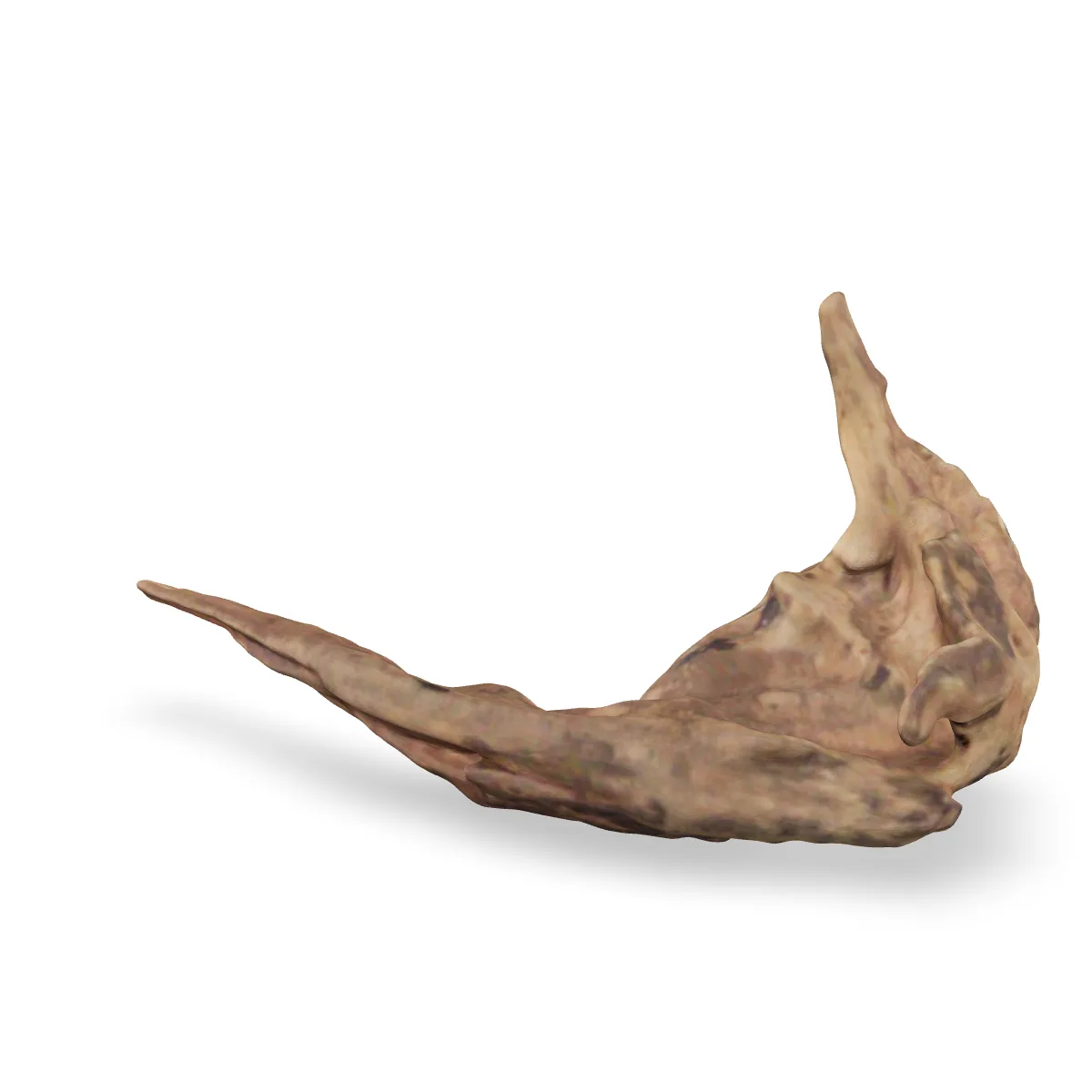 Flusswurzel 3D Nr. 888 (20x8x10cm)