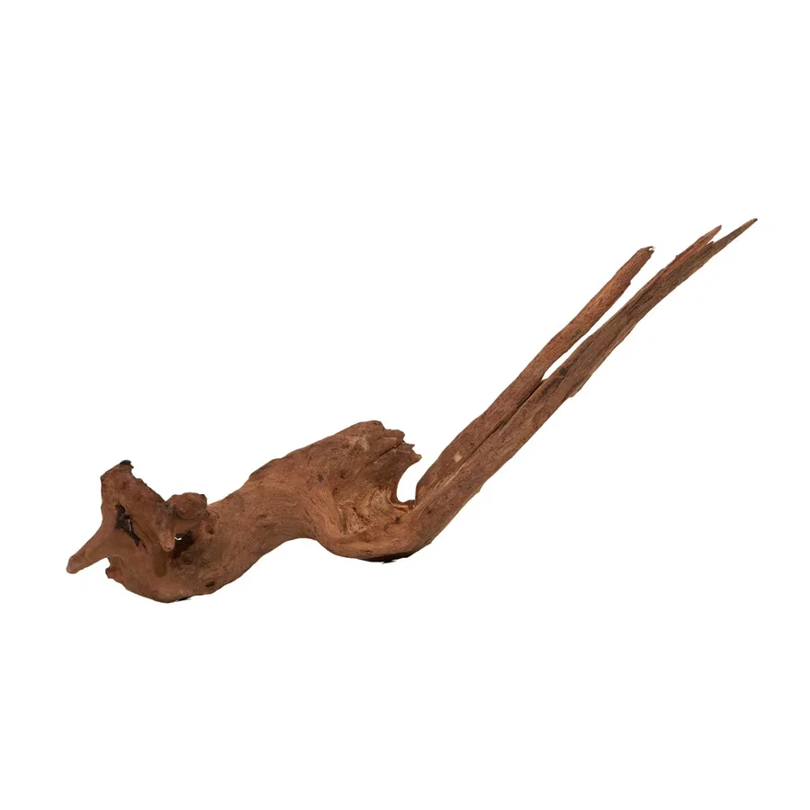 Flusswurzel | Driftwood | Einzelstück