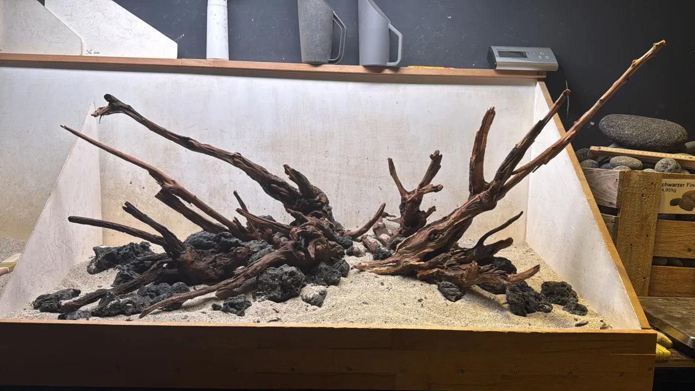 Hardscape - Vorschlag D - 120P