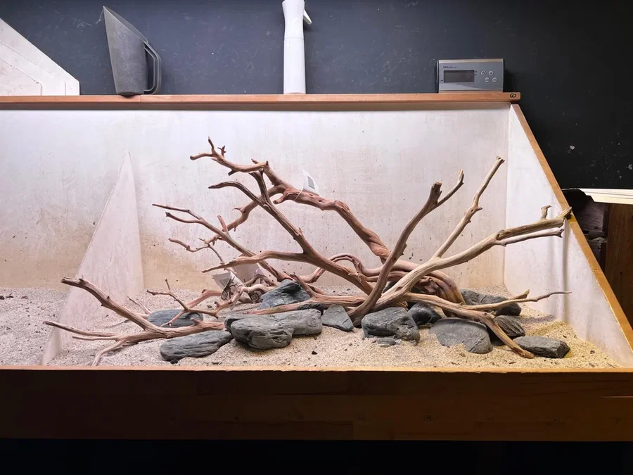 Hardscape - Vorschlag E - 100P
