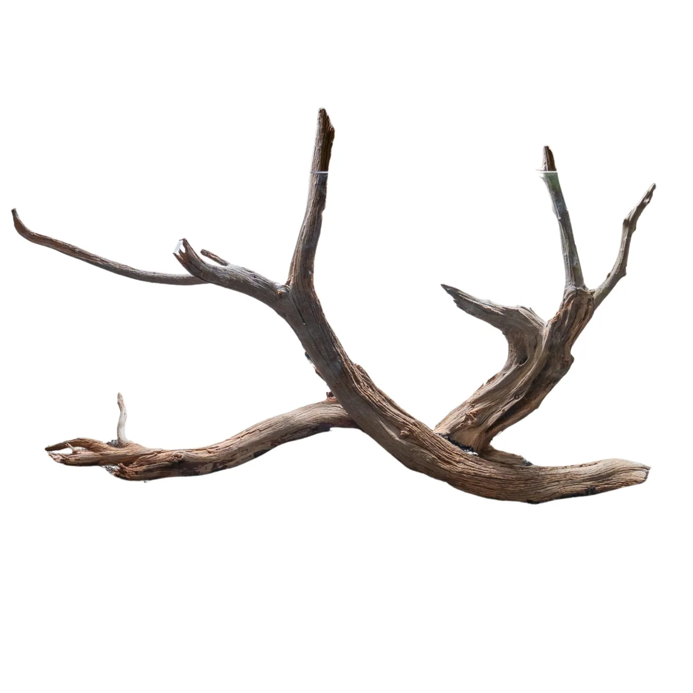 Juniper Wood - je 100g