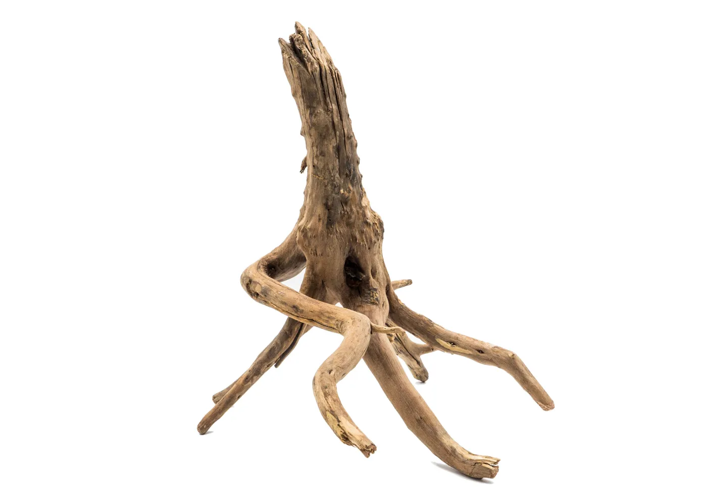 Mini Root je 100g