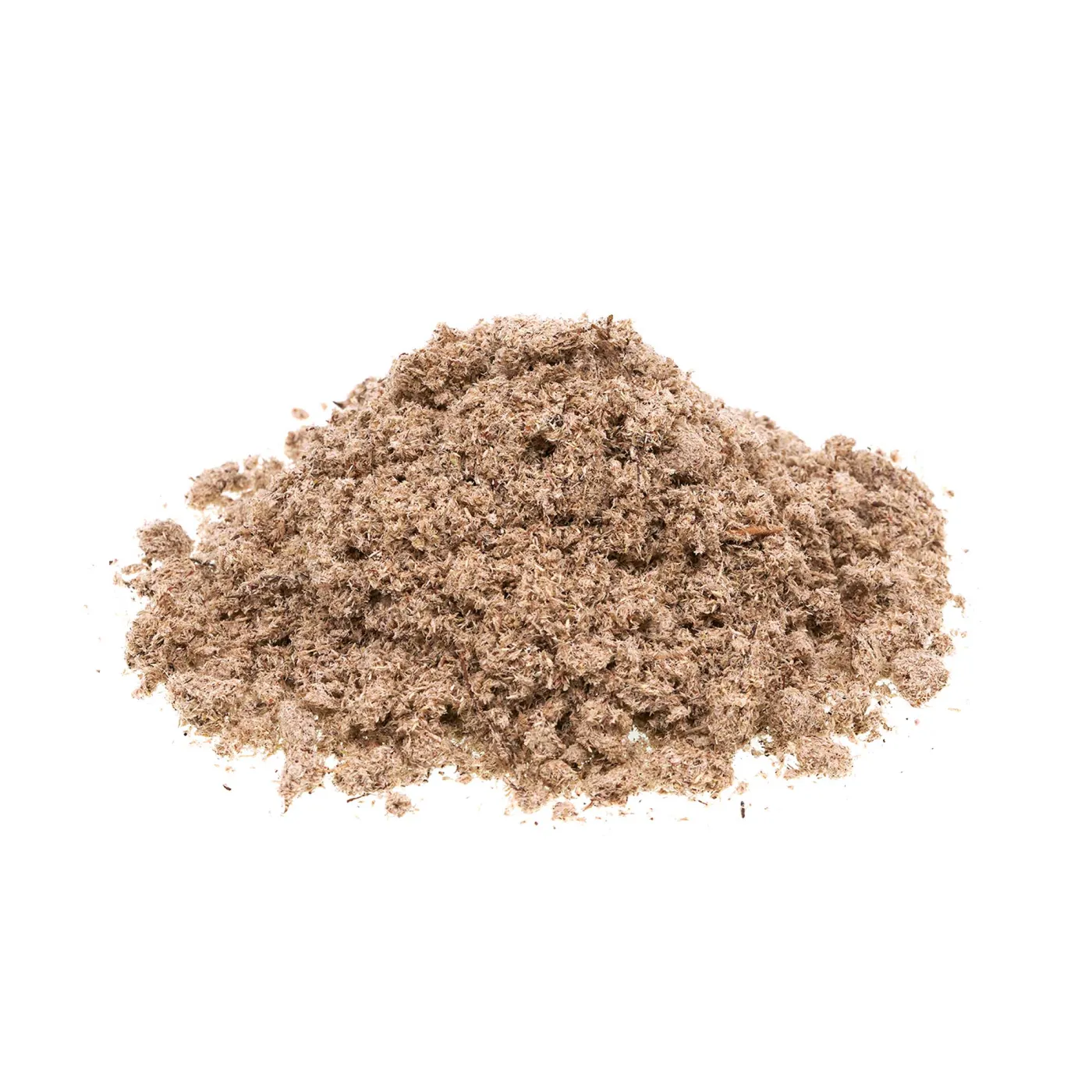 Terrarium Moos Mix | Moossporen zur Begrünung von Hardscape und Rückwänden - 50g