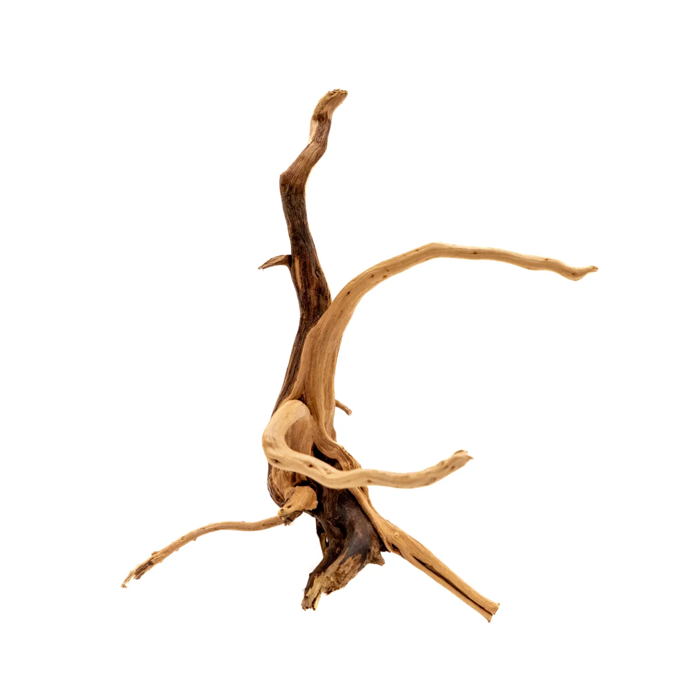 Nano Root je 100g