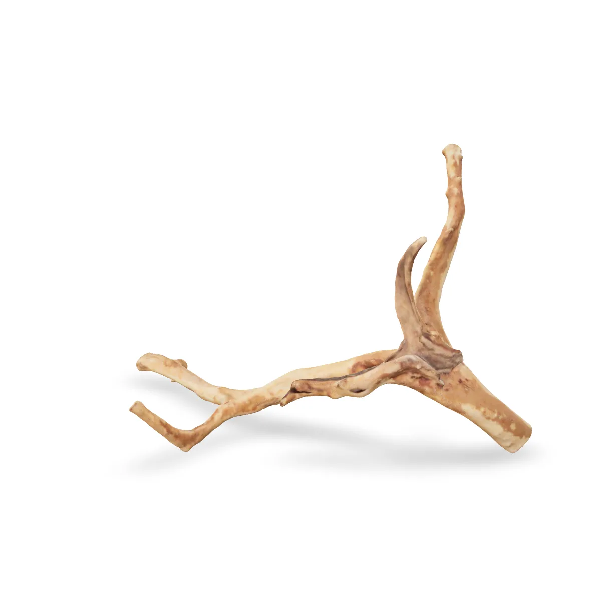 Rote Moorwurzel - Finger Wurzel 3D Nr. 1026 (29x19x18cm)