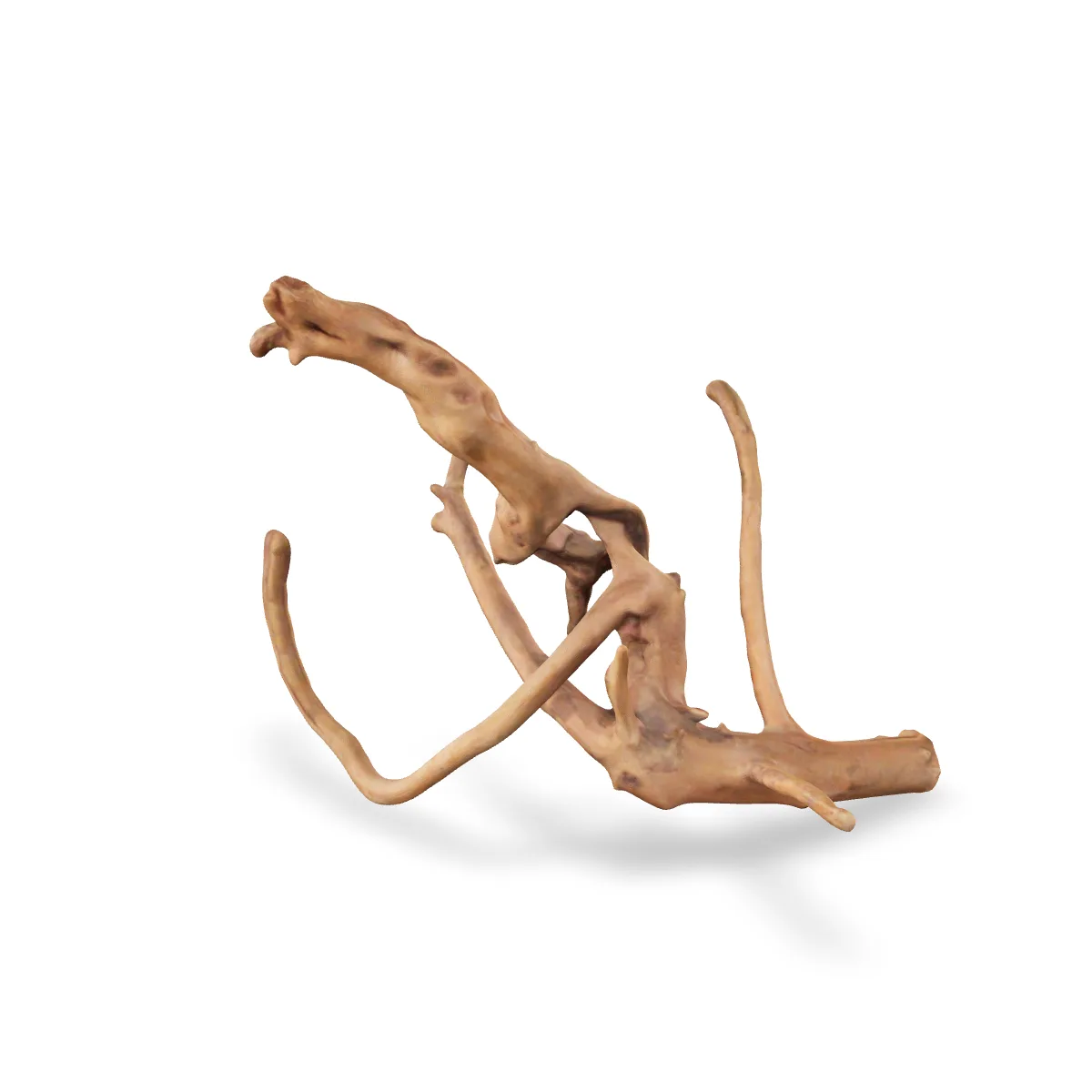 Rote Moorwurzel - Finger Wurzel 3D Nr. 1029 (25x18x14cm)