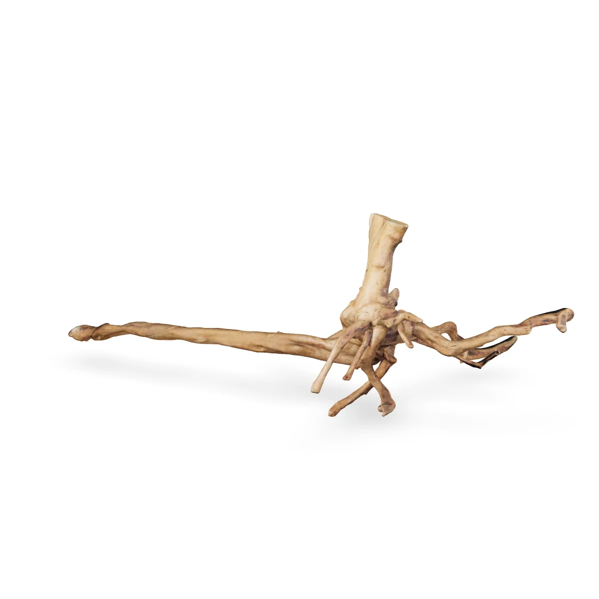Rote Moorwurzel - Finger Wurzel 3D Nr. 106 (30x25x66cm)