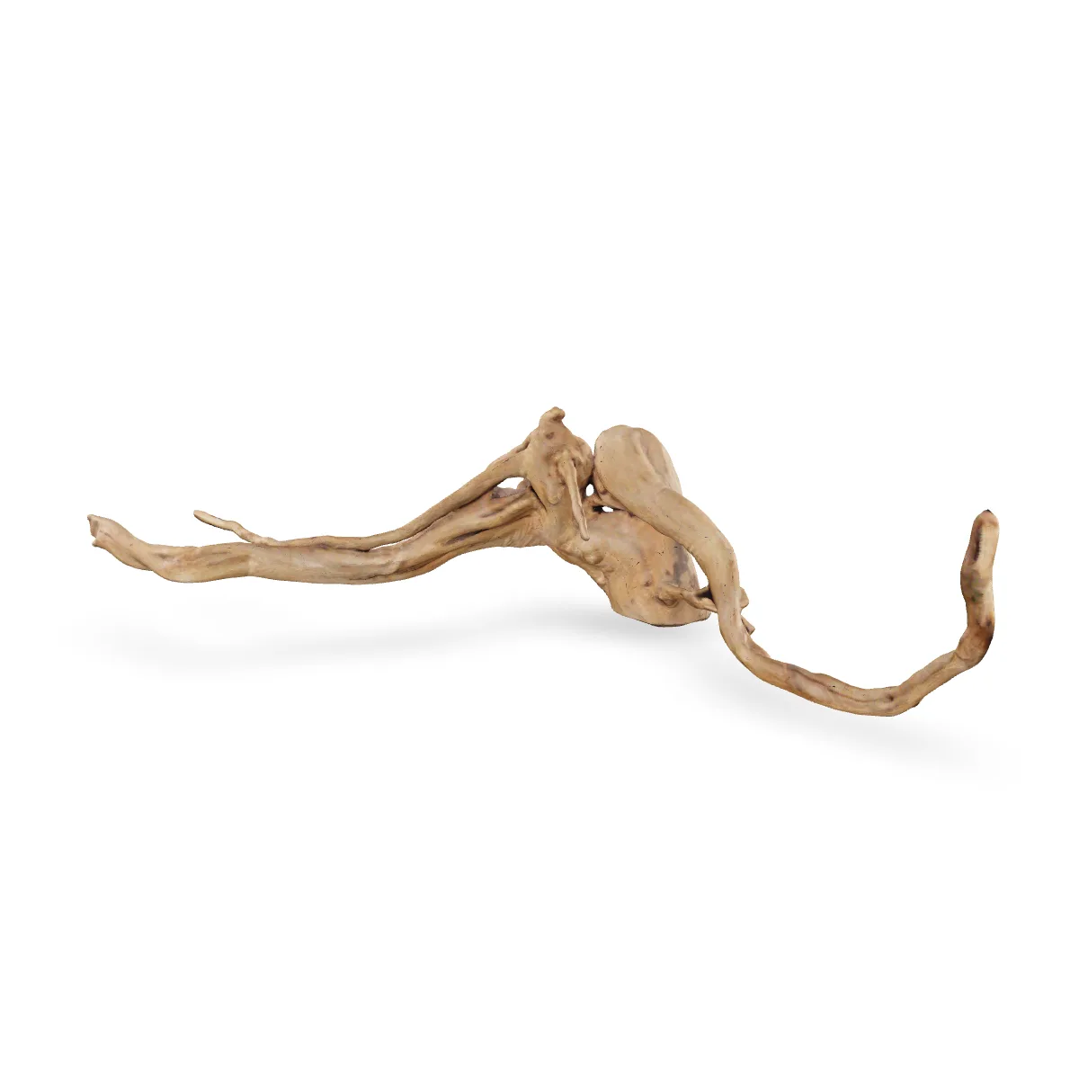 Rote Moorwurzel - Finger Wurzel 3D Nr. 114 (19x13x53cm)