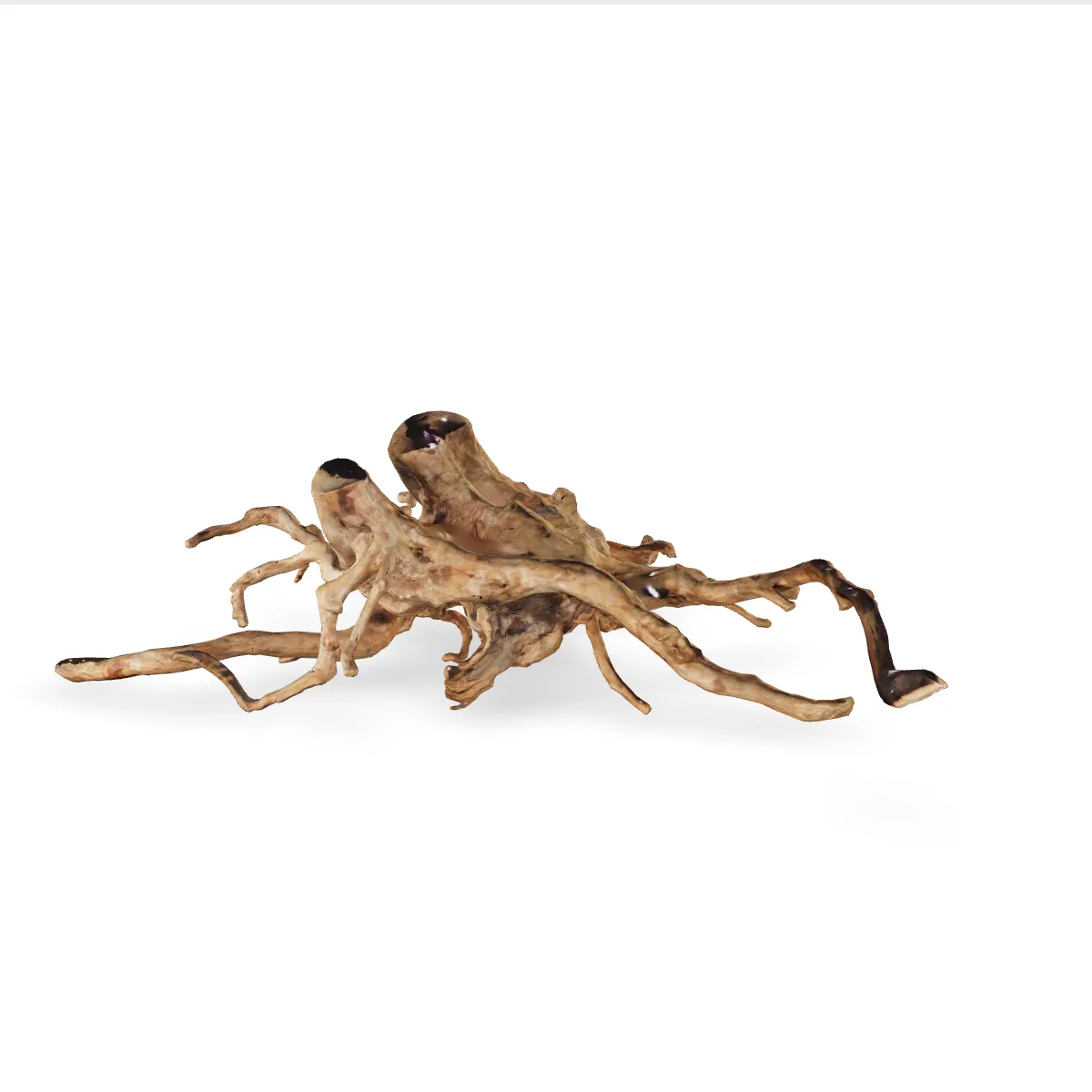 Rote Moorwurzel - Finger Wurzel 3D Nr. 152 (38x19x65cm)
