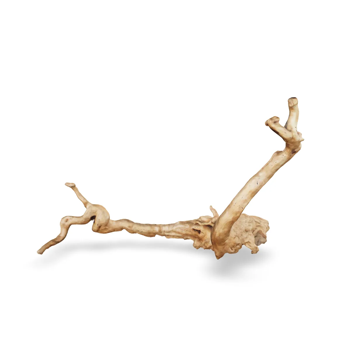 Rote Moorwurzel - Finger Wurzel 3D Nr. 155 (18x26x38cm)