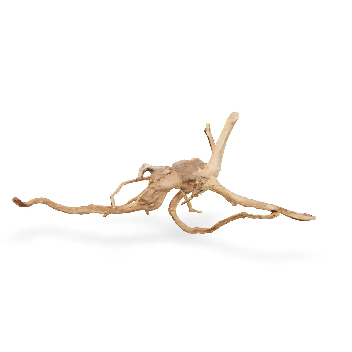 Rote Moorwurzel - Finger Wurzel 3D Nr. 163 (29x21x51cm)