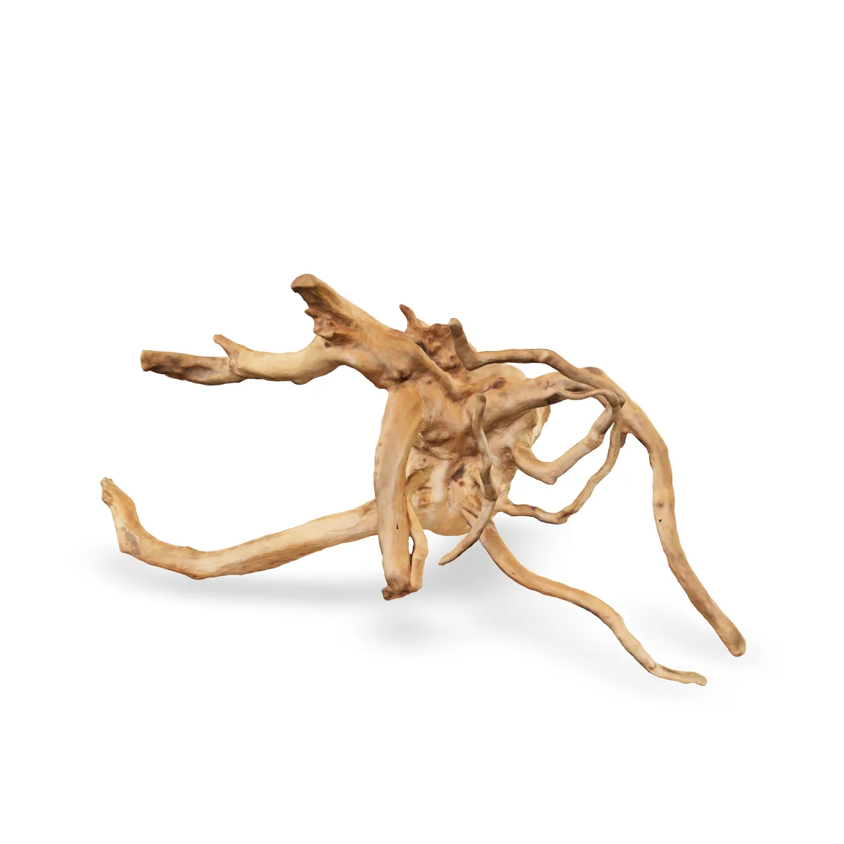 Rote Moorwurzel - Finger Wurzel 3D Nr. 225 (23x22x45cm)