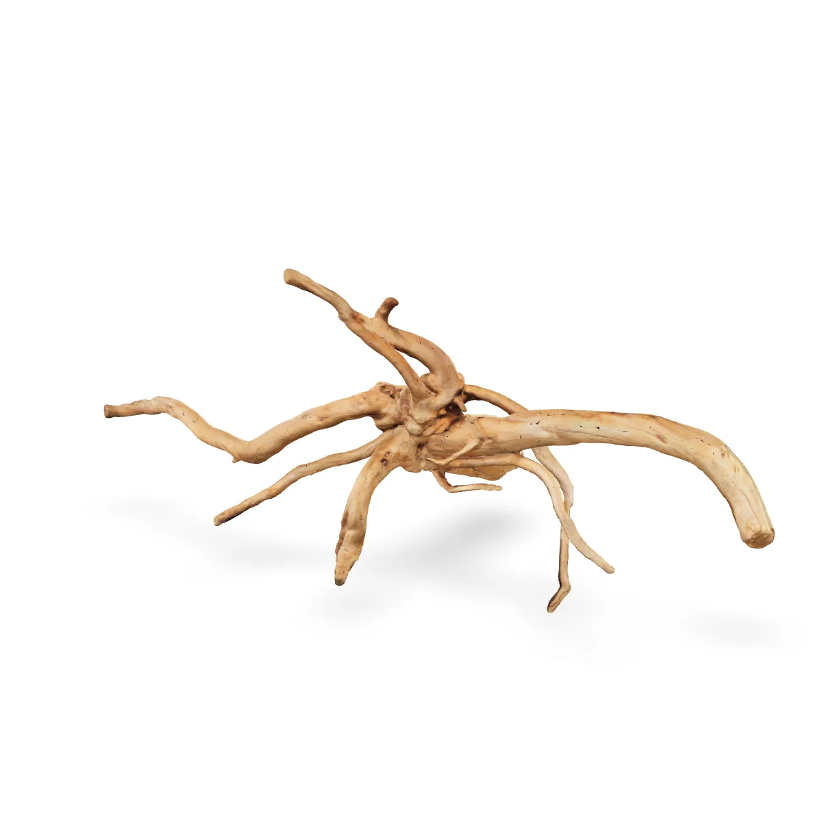 Rote Moorwurzel - Finger Wurzel 3D Nr. 230 (30x29x67cm)