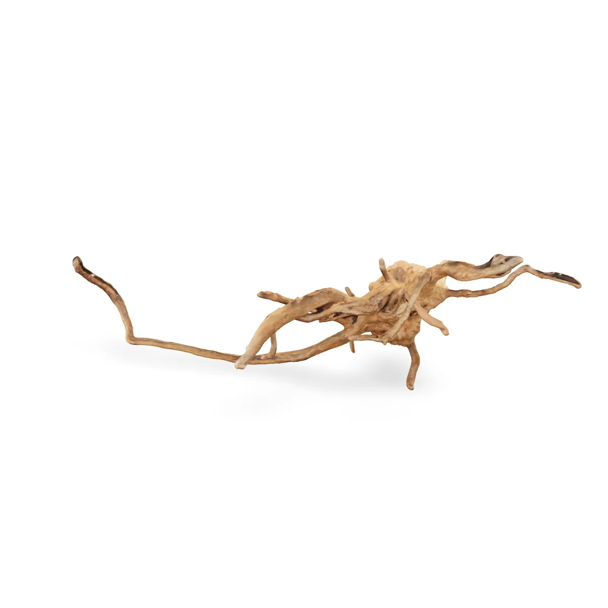 Rote Moorwurzel - Finger Wurzel 3D Nr. 239 (28x23x77cm)