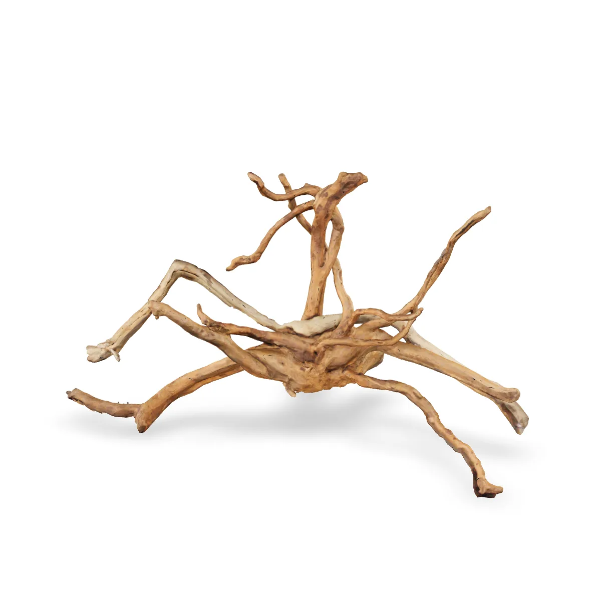 Rote Moorwurzel - Finger Wurzel 3D Nr. 244 (25x32x56cm)