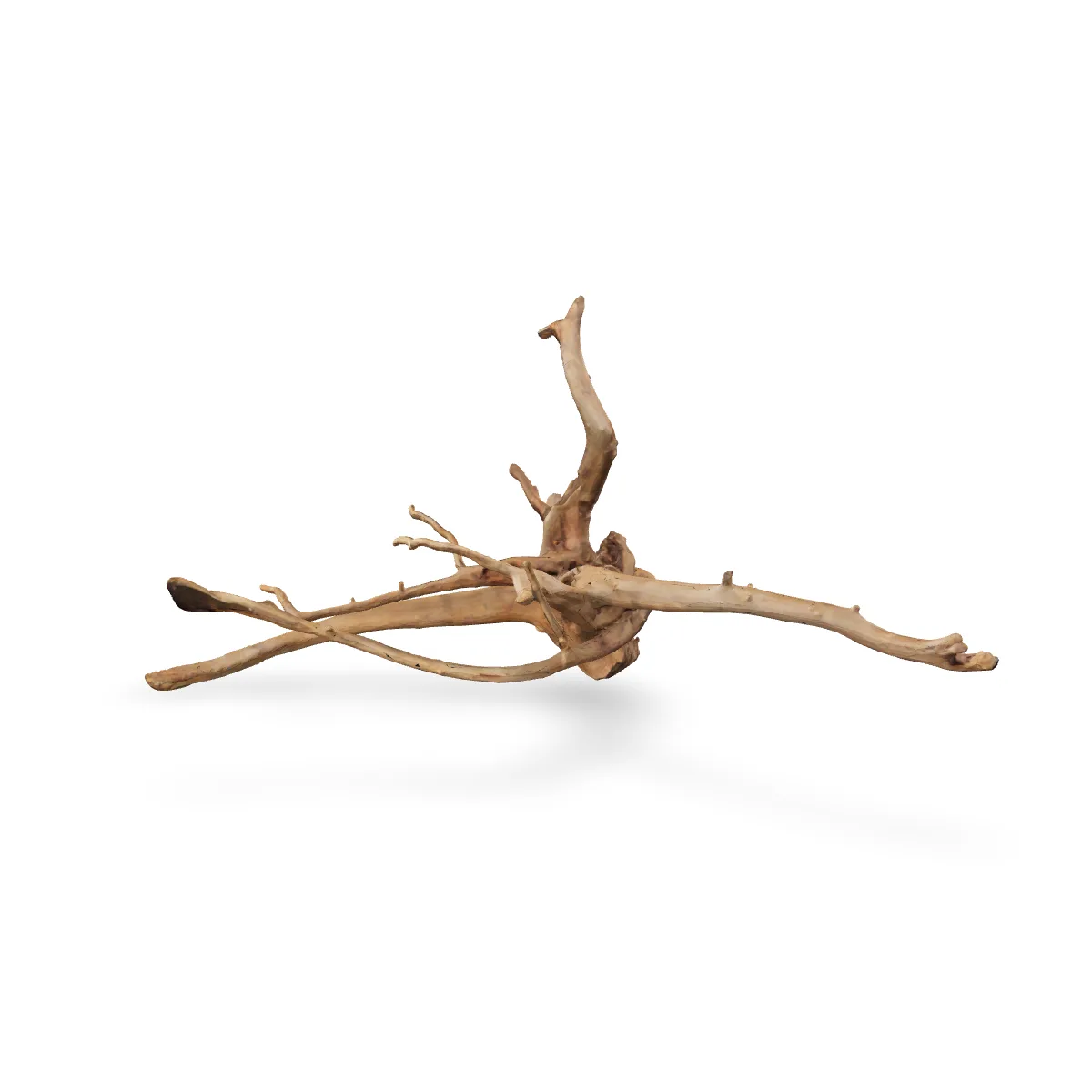 Rote Moorwurzel - Finger Wurzel 3D Nr. 245 (40x37x80cm)