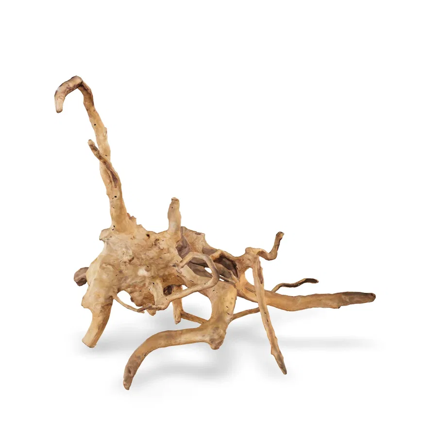 Rote Moorwurzel - Finger Wurzel 3D Nr. 246 (36x39x42cm)